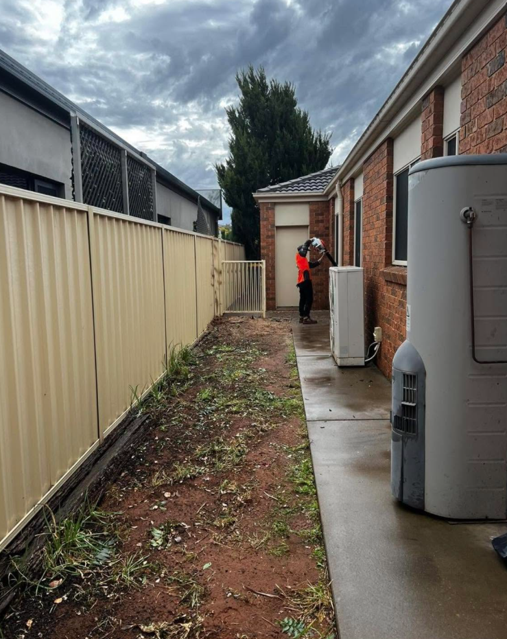 Clear side access beside a home after tree removal